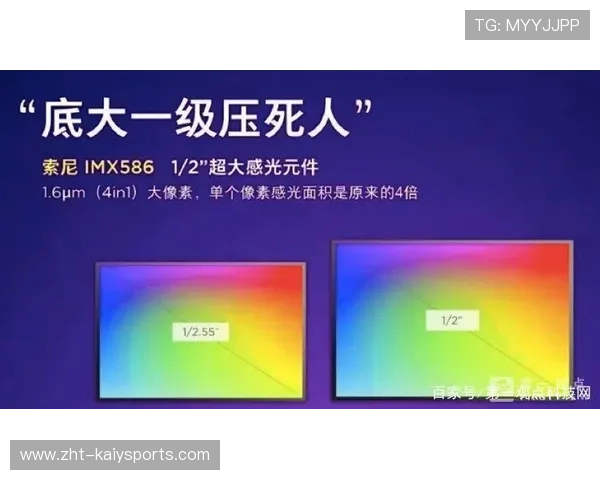 持续曝光🔥热度稳定