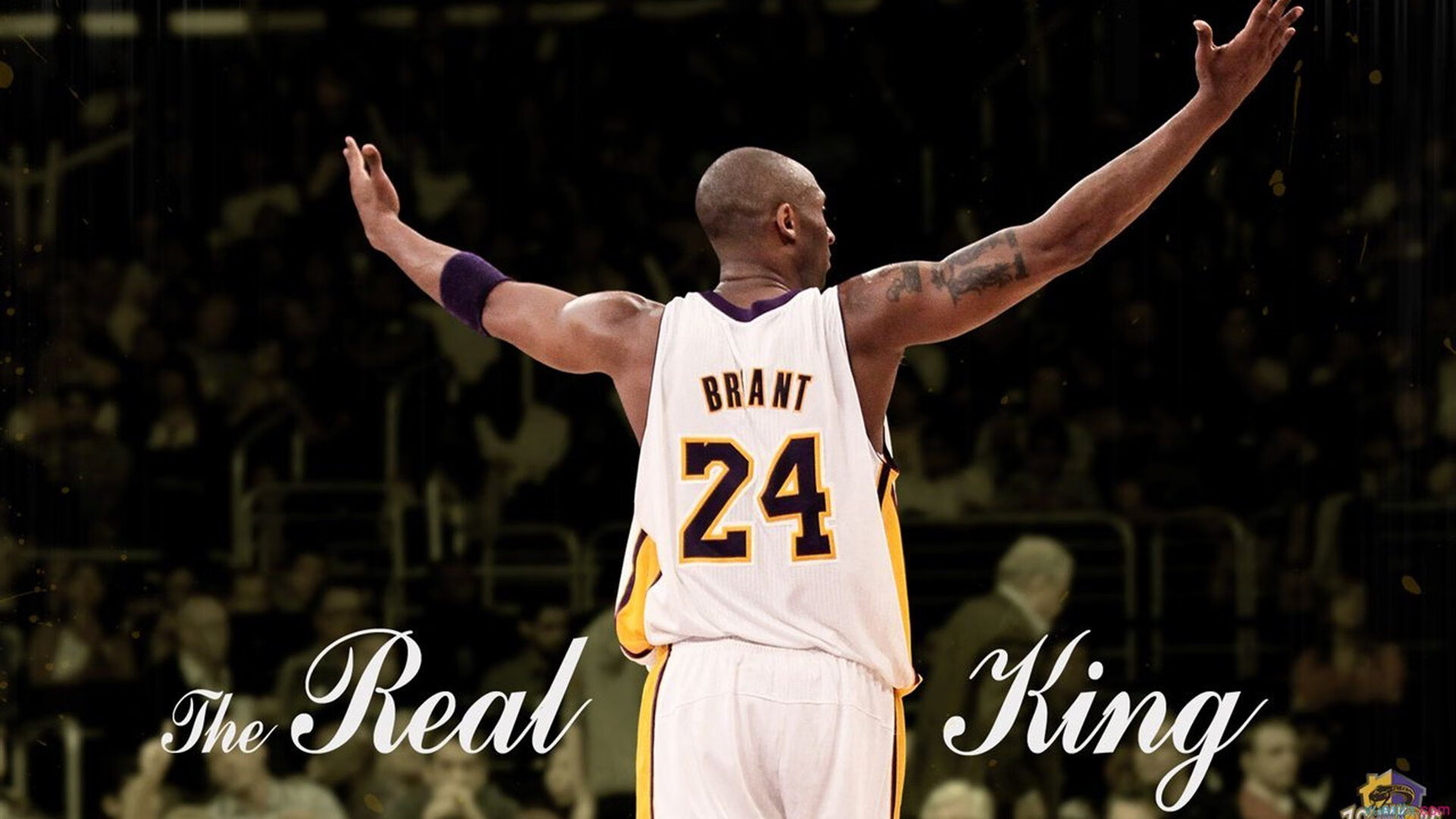 开云体育在线入口-德约称目标依旧是年终总决赛，德约参赛计划